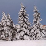 Tempête du 10 02 2012