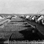 Miquelon village - Aubert de la Rüe