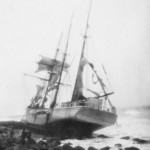 Paulette 1902 (photographie Dr Michaël DHOSTE)